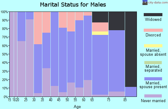 Zip code 69358 marital status for males