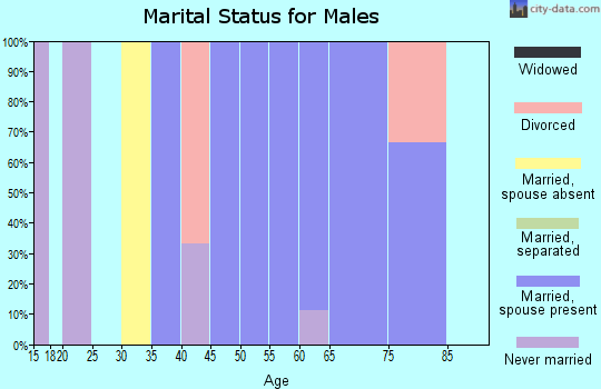 Zip code 69367 marital status for males