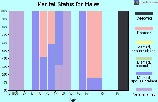 Zip code 70038 marital status for males