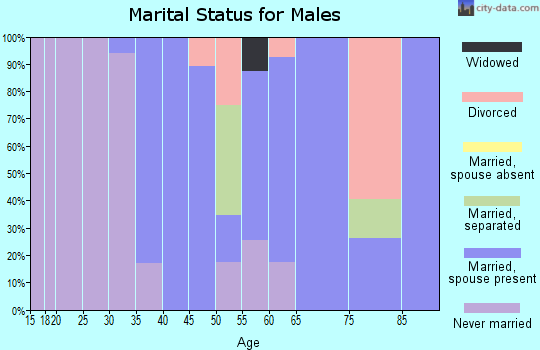 Zip code 70040 marital status for males