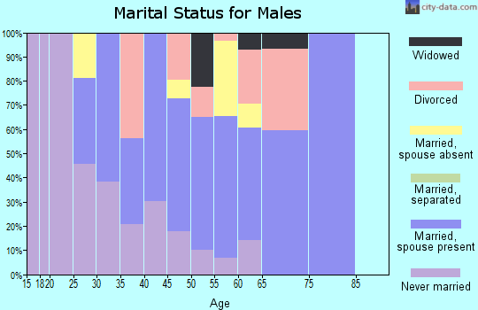 Zip code 70041 marital status for males