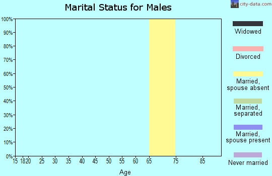 Zip code 70050 marital status for males