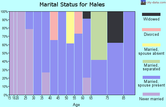 Zip code 70051 marital status for males