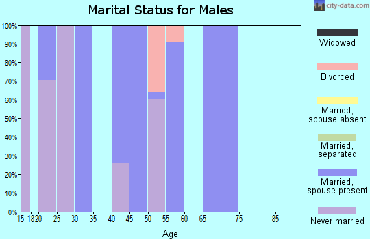 Zip code 70080 marital status for males