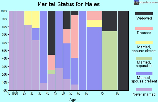 Zip code 70083 marital status for males