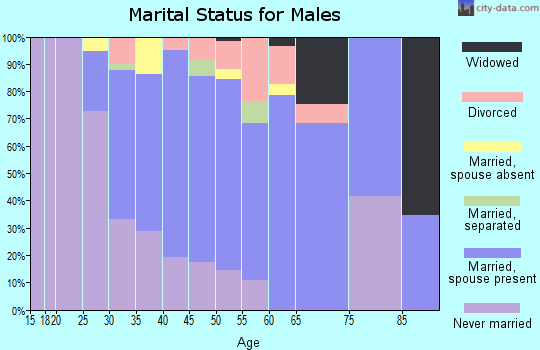 Zip code 70090 marital status for males
