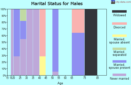 Zip code 70091 marital status for males