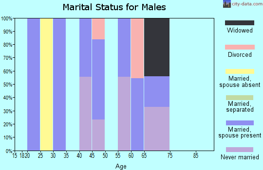 Zip code 70353 marital status for males