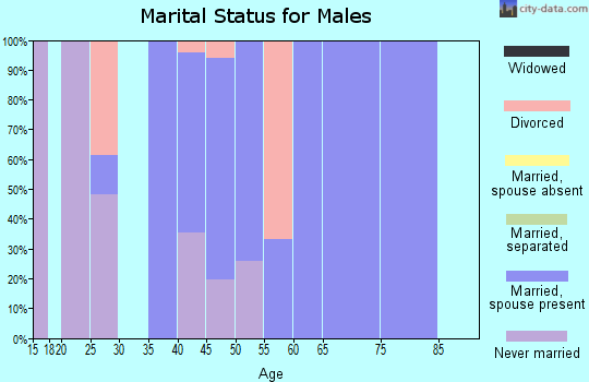 Zip code 70355 marital status for males