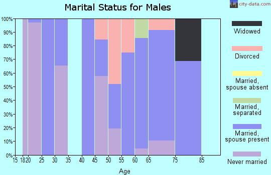 Zip code 70358 marital status for males