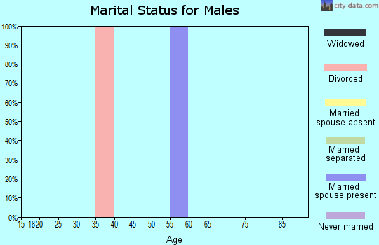 Zip code 70375 marital status for males