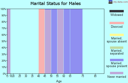Zip code 70463 marital status for males
