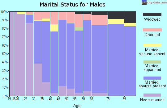 Zip code 70503 marital status