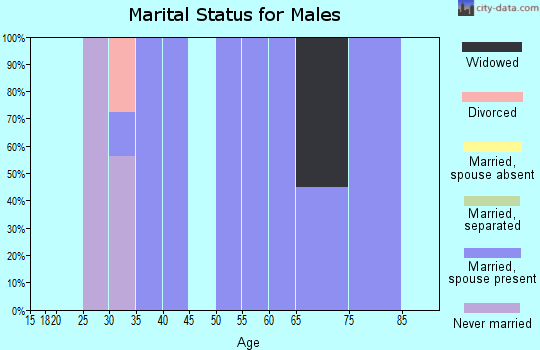 Zip code 70531 marital status for males