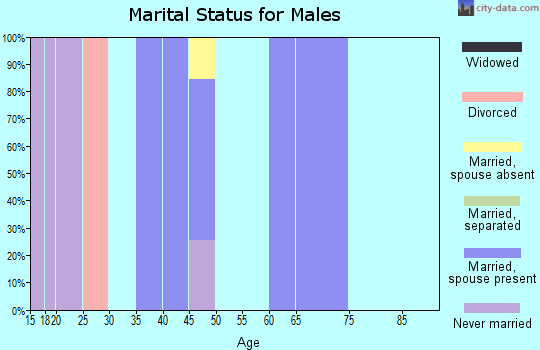 Zip code 70537 marital status for males