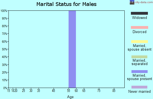 Zip code 70540 marital status for males