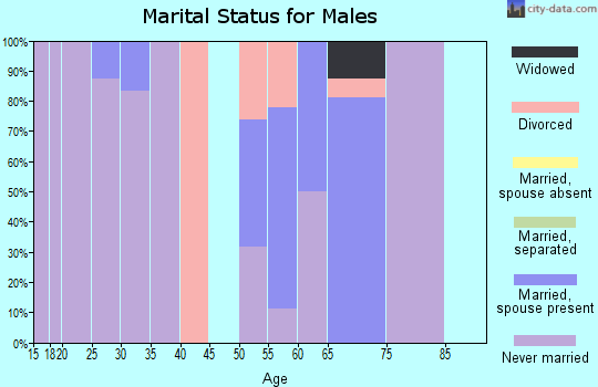 Zip code 70541 marital status for males