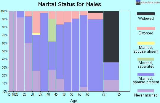 Zip code 70543 marital status for males
