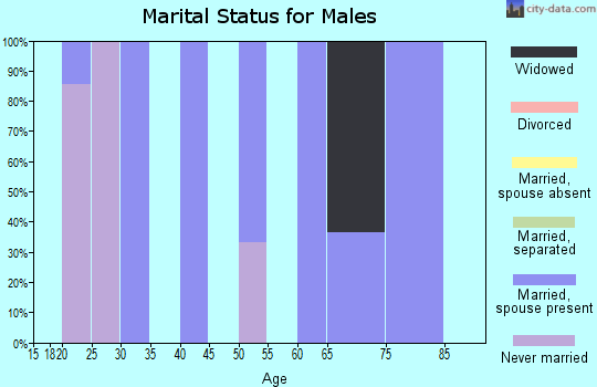 Zip code 70556 marital status for males