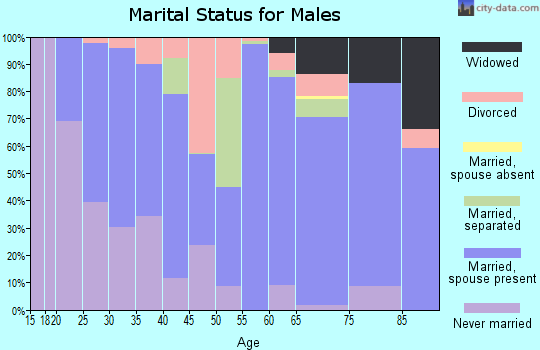Zip code 70633 marital status for males