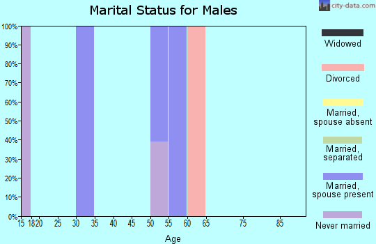Zip code 70651 marital status for males