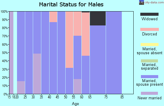 Zip code 70658 marital status for males