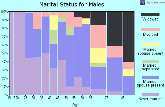 Zip code 71001 marital status for males