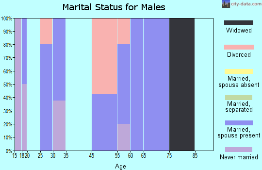 Zip code 71002 marital status for males