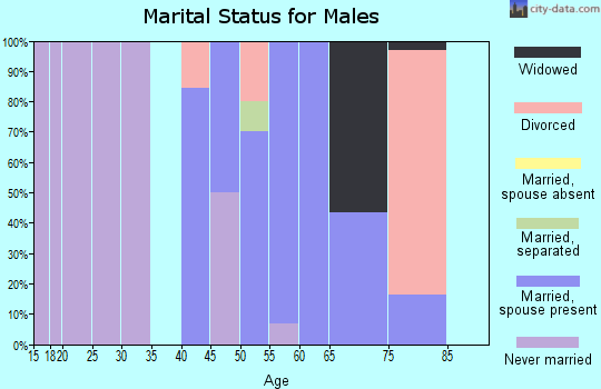 Zip code 71004 marital status for males