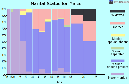 Zip code 71006 marital status for males