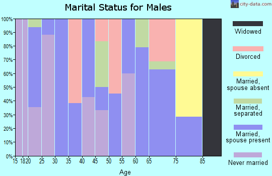Zip code 71008 marital status for males