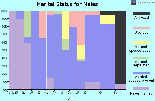 Zip code 71016 marital status for males