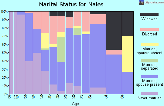 Zip code 71019 marital status for males