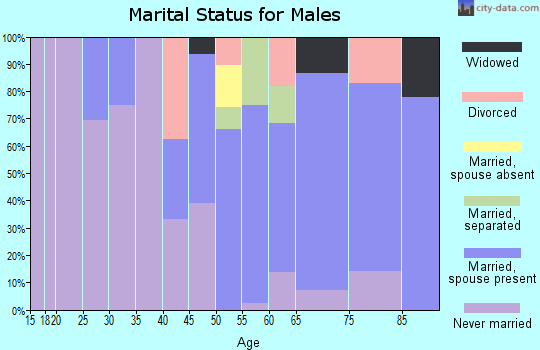 Zip code 71028 marital status for males