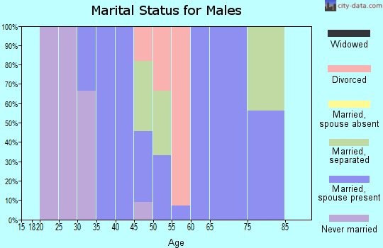 Zip code 71029 marital status for males