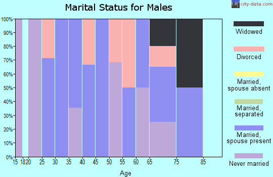 Zip code 71034 marital status for males