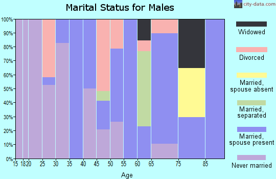 Zip code 71043 marital status for males