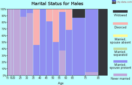 Zip code 71044 marital status for males