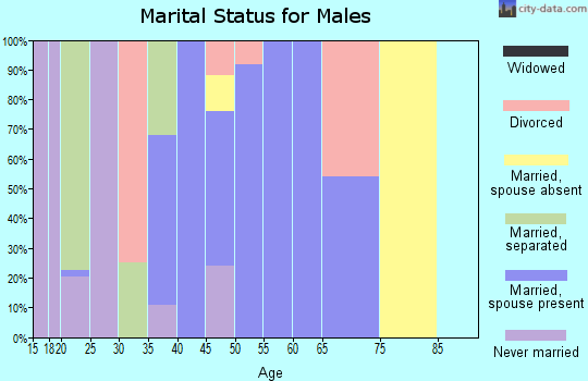 Zip code 71045 marital status for males