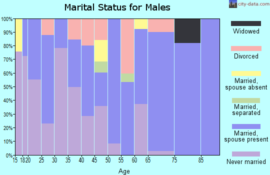 Zip code 71049 marital status for males
