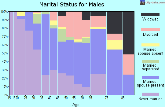 Zip code 71052 marital status for males