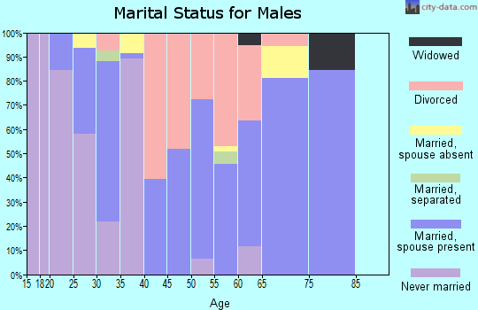 Zip code 71060 marital status for males