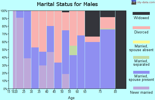 Zip code 71061 marital status for males