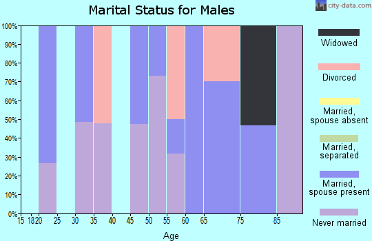 Zip code 71063 marital status for males