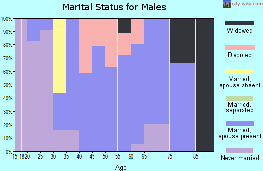 Zip code 71065 marital status for males
