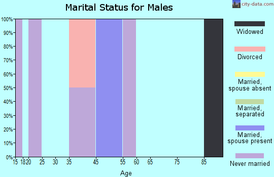 Zip code 71066 marital status for males