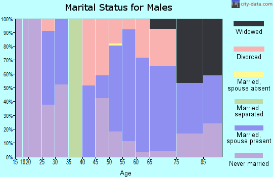 Zip code 71068 marital status for males