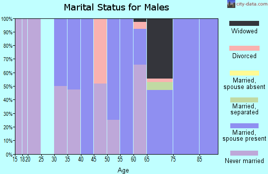 Zip code 71069 marital status for males