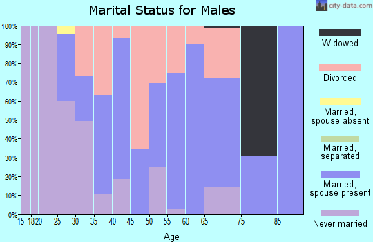 Zip code 71073 marital status for males