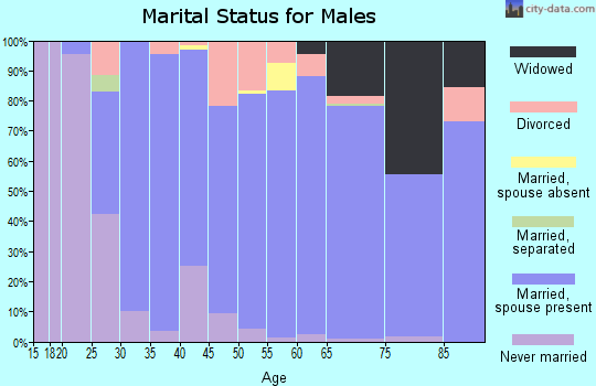 Zip code 71078 marital status for males